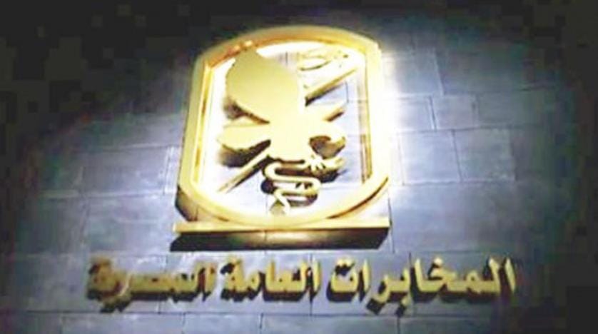 مصر میں ترکی کے ساتھ جاسوسی کے الزام میں 29 افراد گرفتار