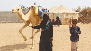 حوثیوں کو بھرتوں میں نقصانات کا سامنا