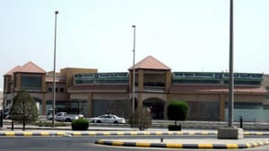 عرب سربراہی اجلاس میں ایرانی ترکی مداخلت زیر بحث