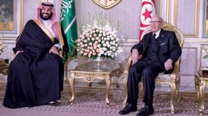 مداخلت کا مقابلہ کرنے کے سلسلہ میں مصر اور سعودی عرب کے درمیان معاہدہ