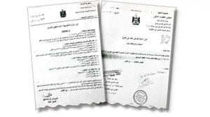 داعش افراد کی ایزیدی خواتین کے بچوں کا نامعلوم مستقبل